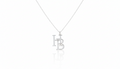 Custom Name Jewelry - Personalized Interlocking Letter Necklace